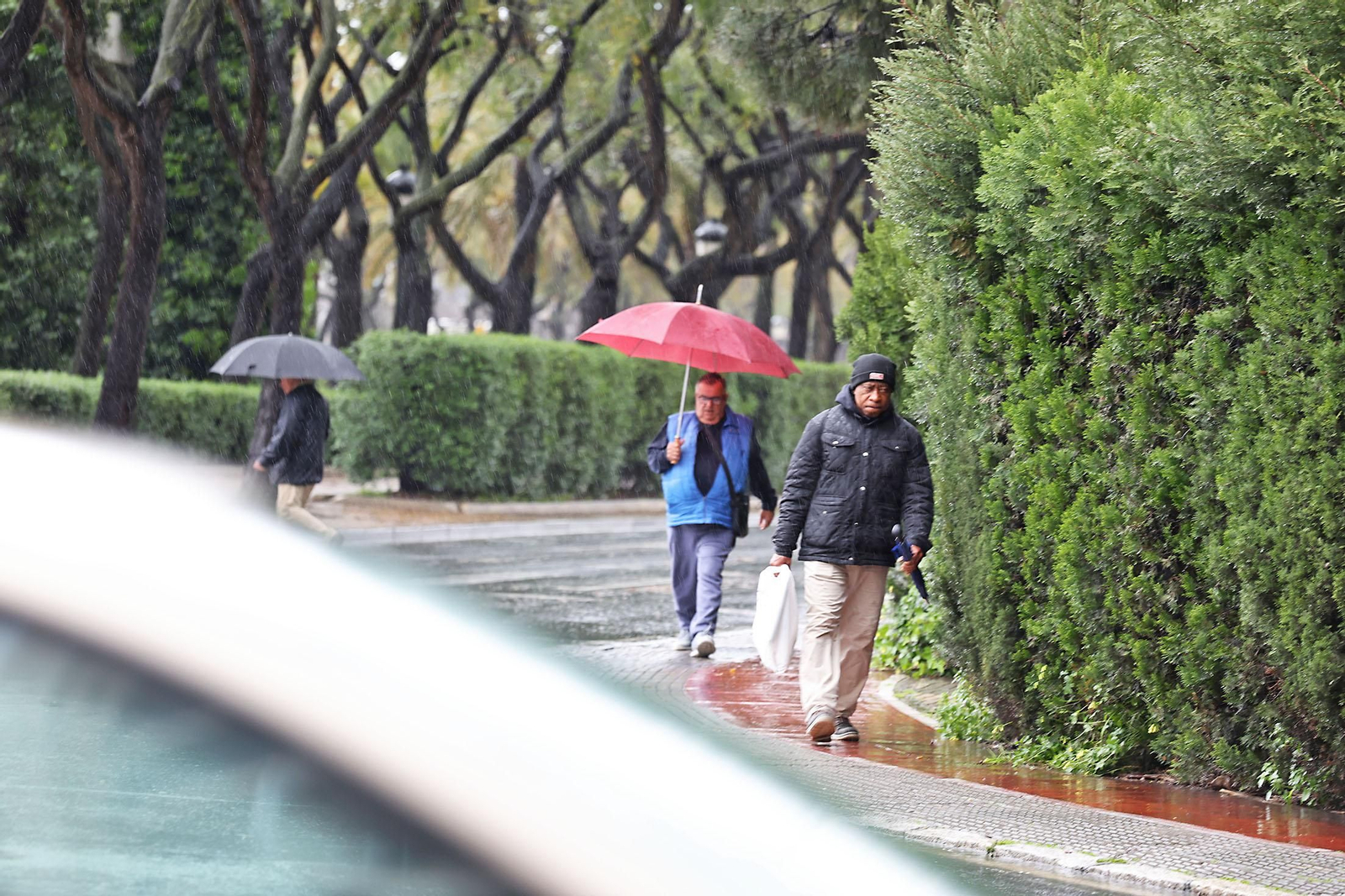 Las imágenes de la lluviosa mañana del jueves 13 de marzo en Huelva