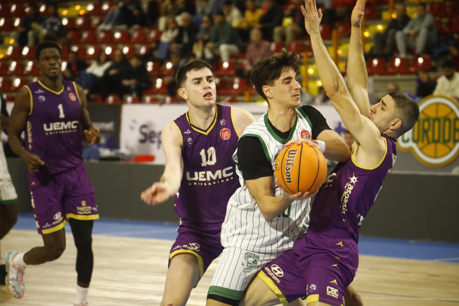 Las mejores fotos del ambiente en Vista Alegre para el Coto Córdoba - Baloncesto Valladolid