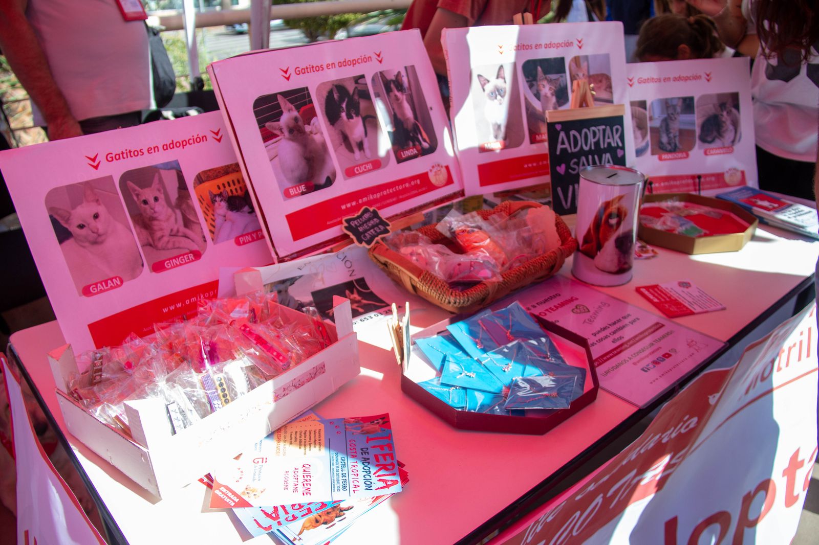 ¿Has estado en el primer desfile solidario de mascotas celebrado en Motril?