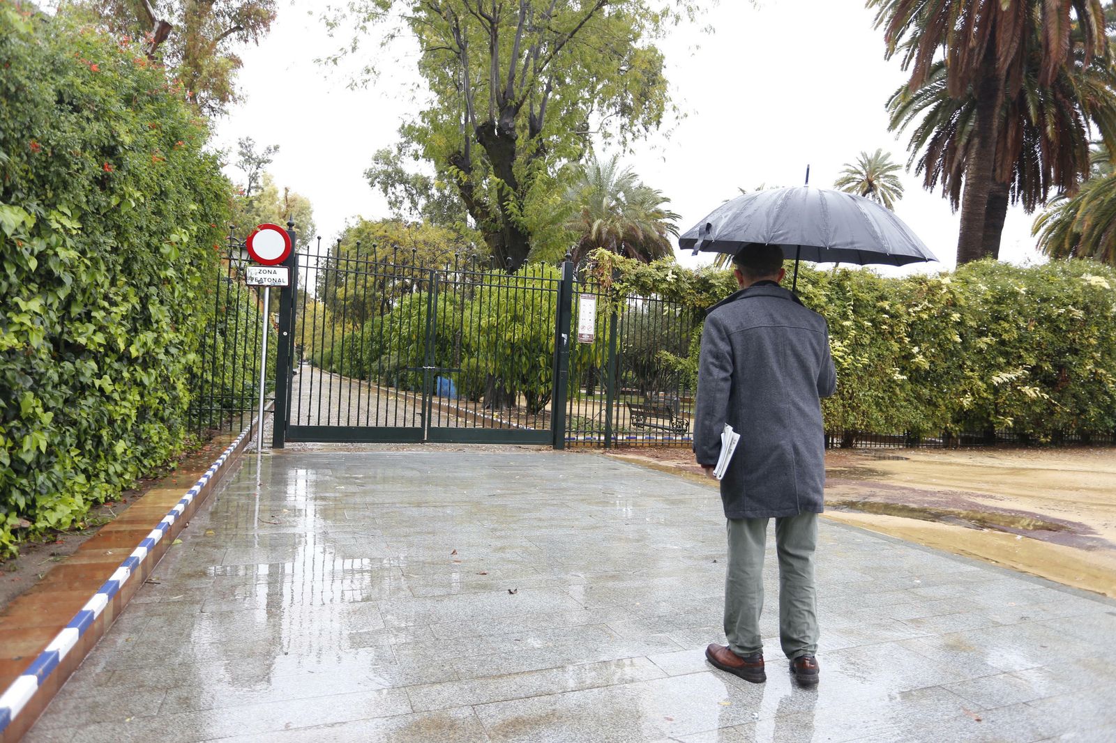 Las imágenes del temporal en Sevilla
