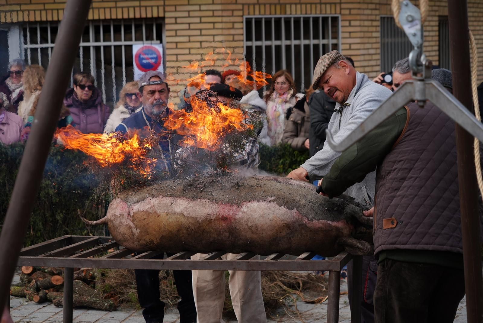 XX Fiesta de la Matanza de Alcaracejos
