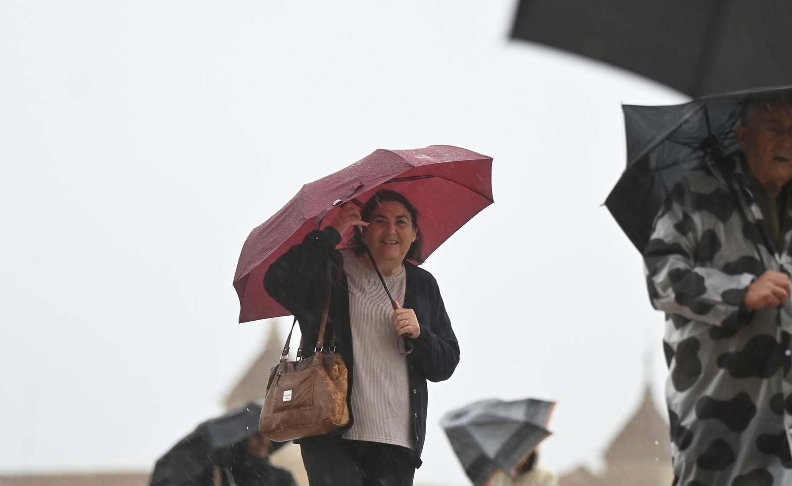 El paso de la borrasca Claudia por Córdoba en imágenes