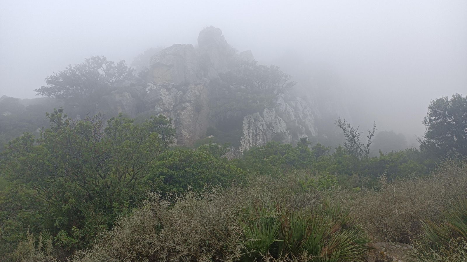 Pasamos a los pies de un imponente macizo rocoso que alberga algunas buitreras.