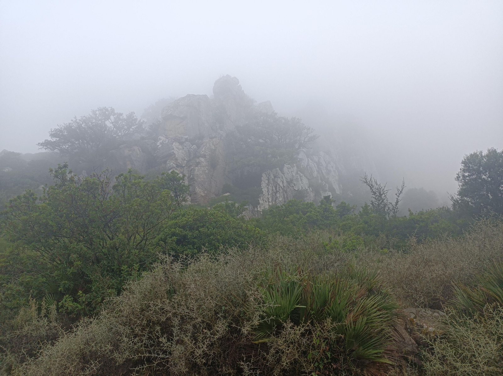 Pasamos a los pies de un imponente macizo rocoso que alberga algunas buitreras.