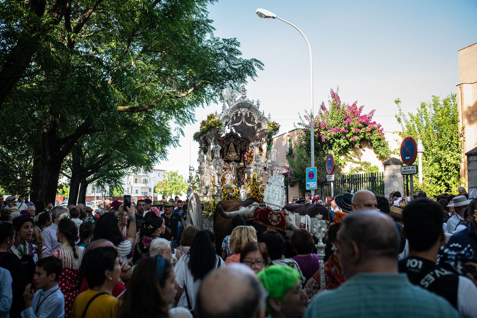 La Hermandad de Sevilla Sur