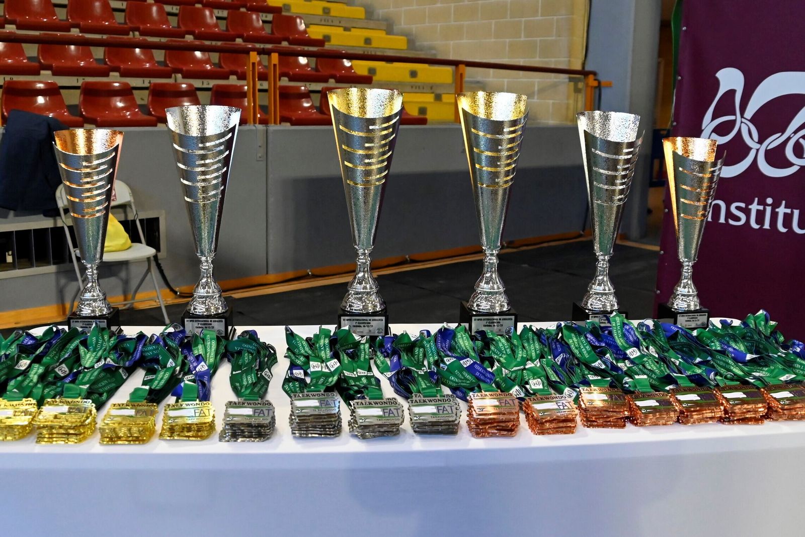 Las mejores fotos del Open Internacional de Taekwondo celebrado en Córdoba