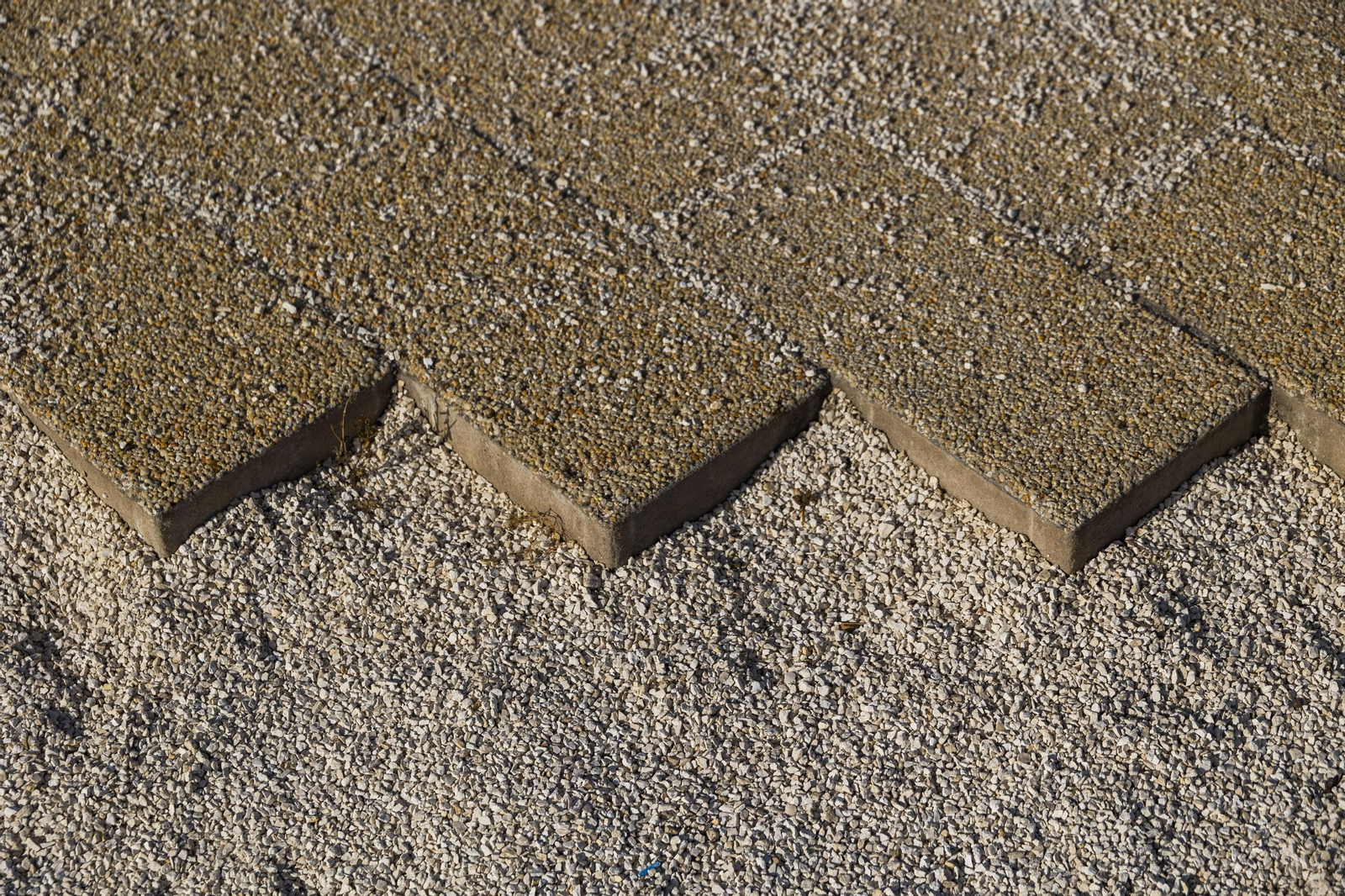 Las imágenes del mal estado de los paseos de Cádiz