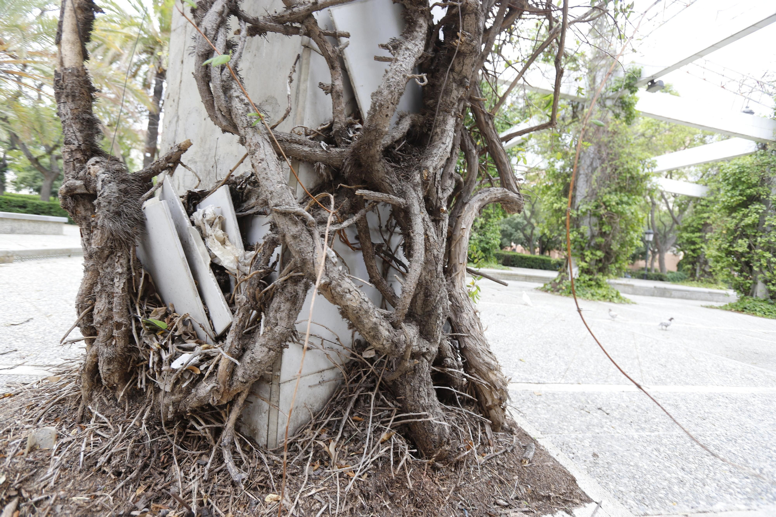 Imágenes del deterioro en la Avenida de Andalucía