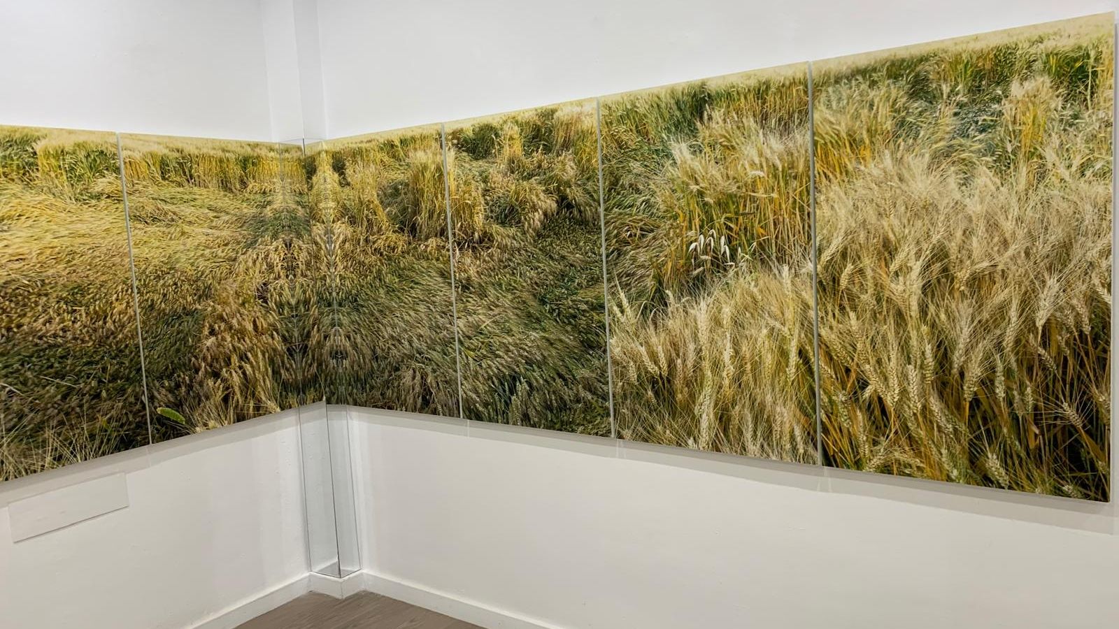 Uno de los trabajos de Mar Garrido que puede verse en la muestra.