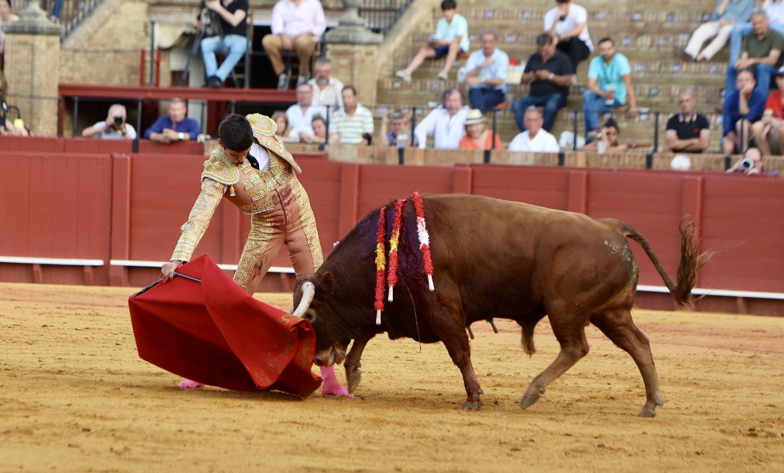 Novillada El Melli, Aarón Palacios y Manuel Jesús  Carrión