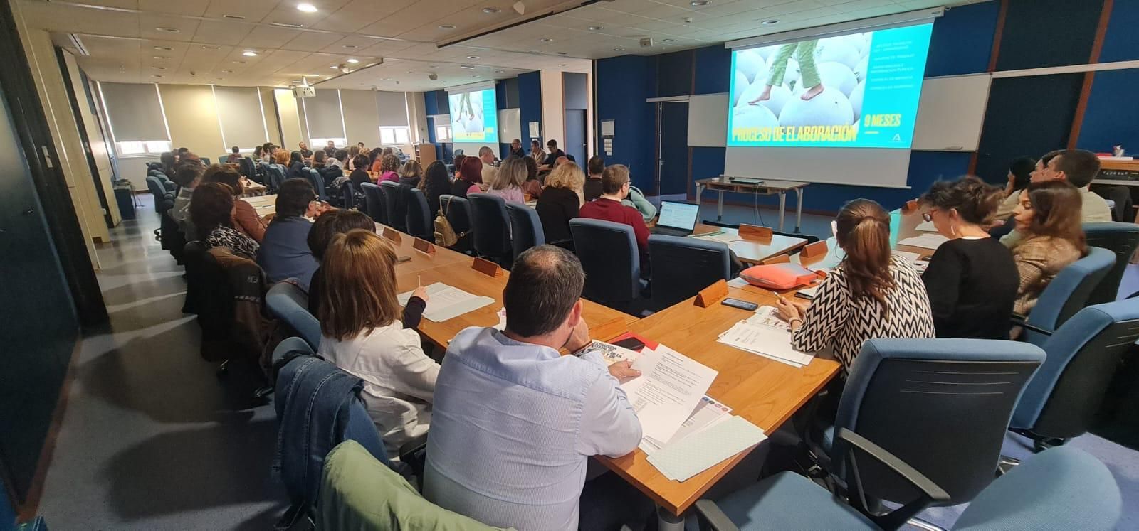 Seminario de profesionales 'Estrategia de Cuidados y Protección de niños, niñas y adolescentes tutelados de Andalucía'