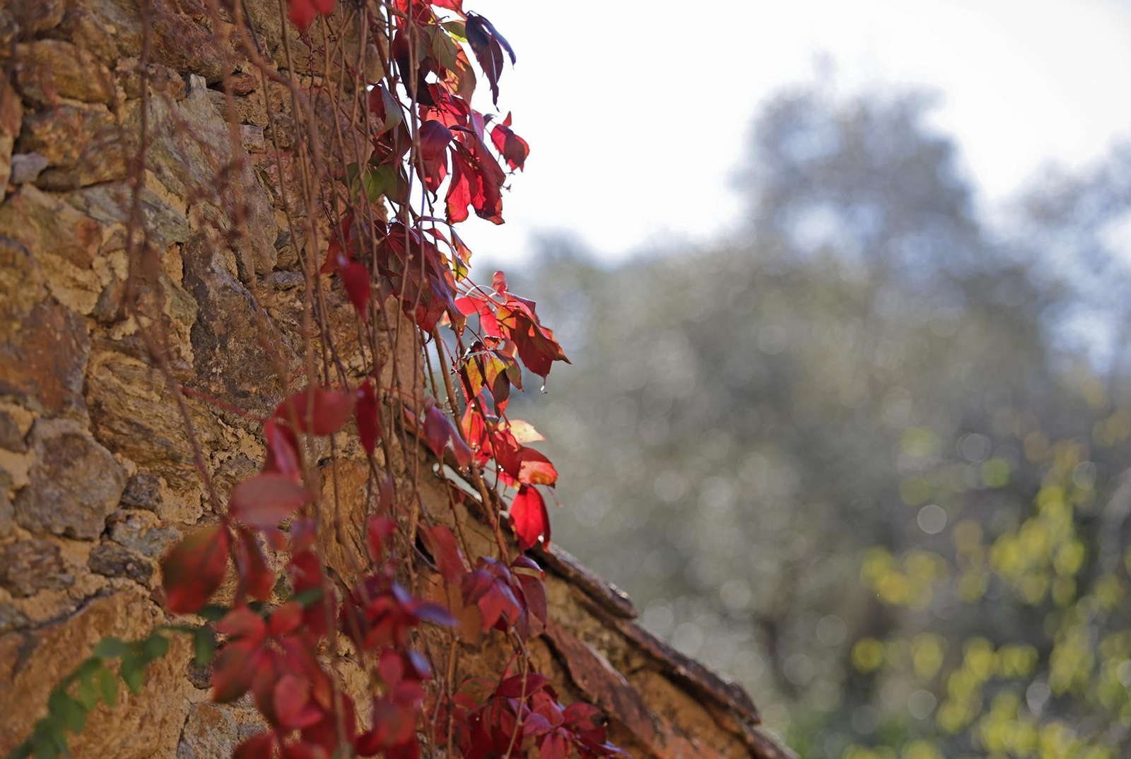 Ruta de Senderismo Charco Malo