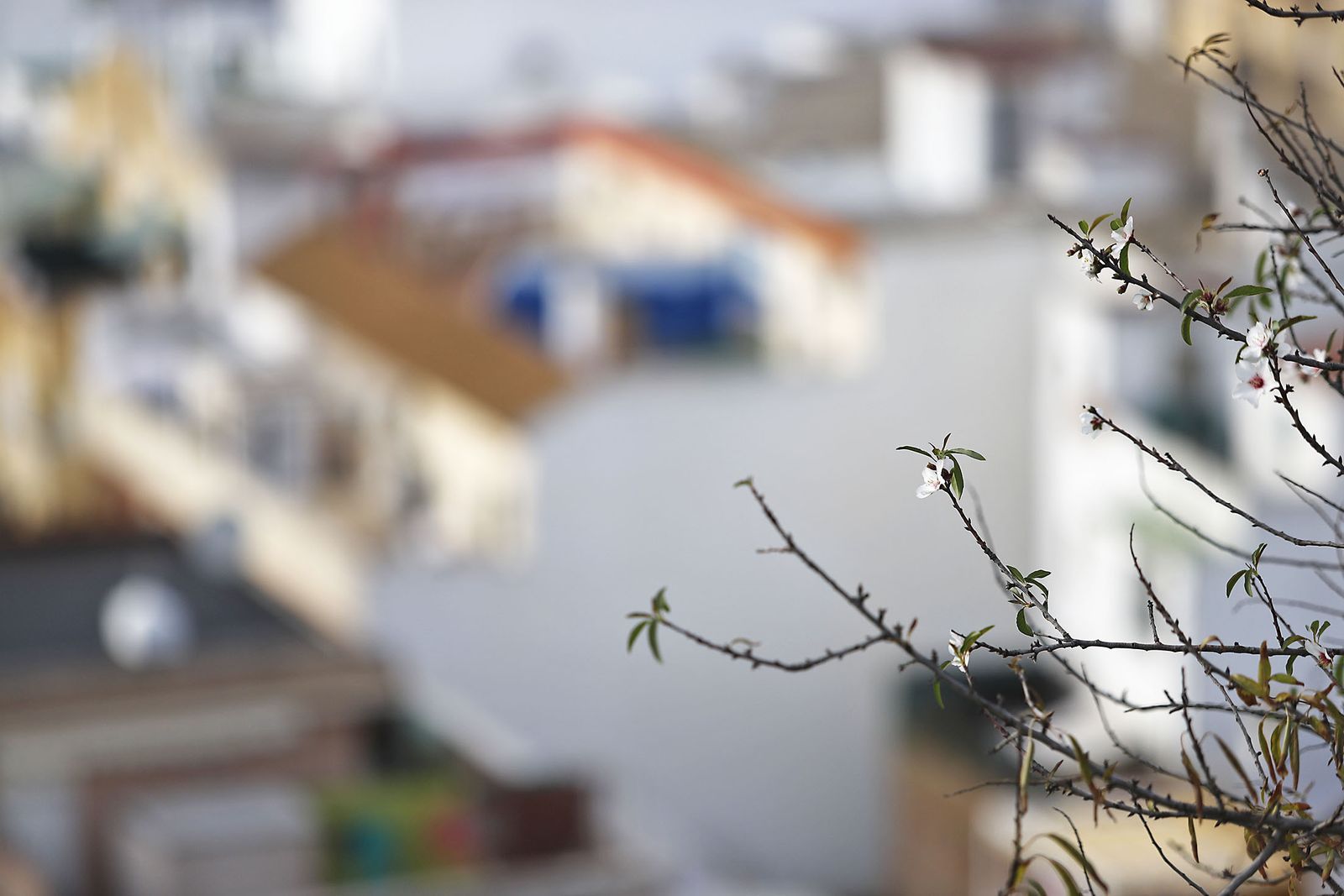 Las imágenes más destacadas del domingo 26 de noviembre en Huelva