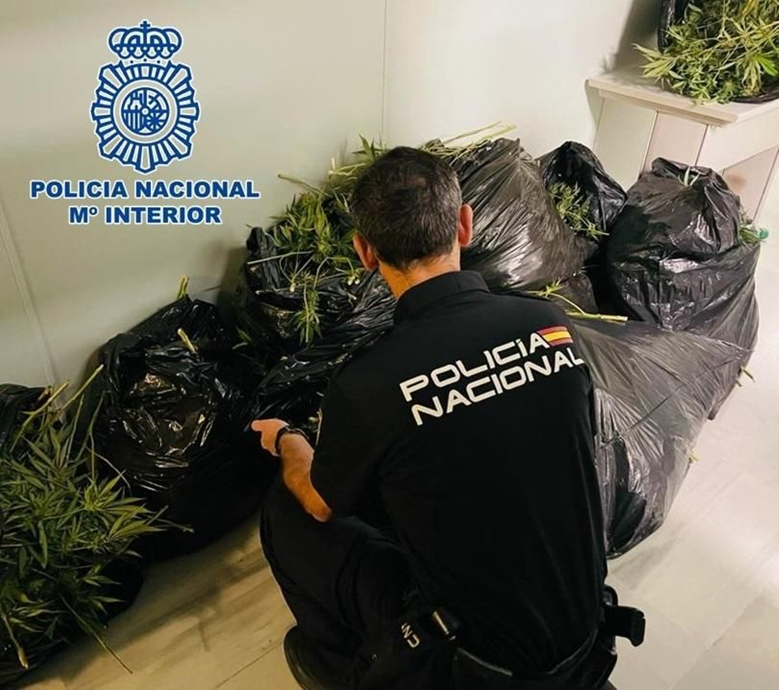 Imagen de la marihuana incautada por la Policía Nacional en Granada