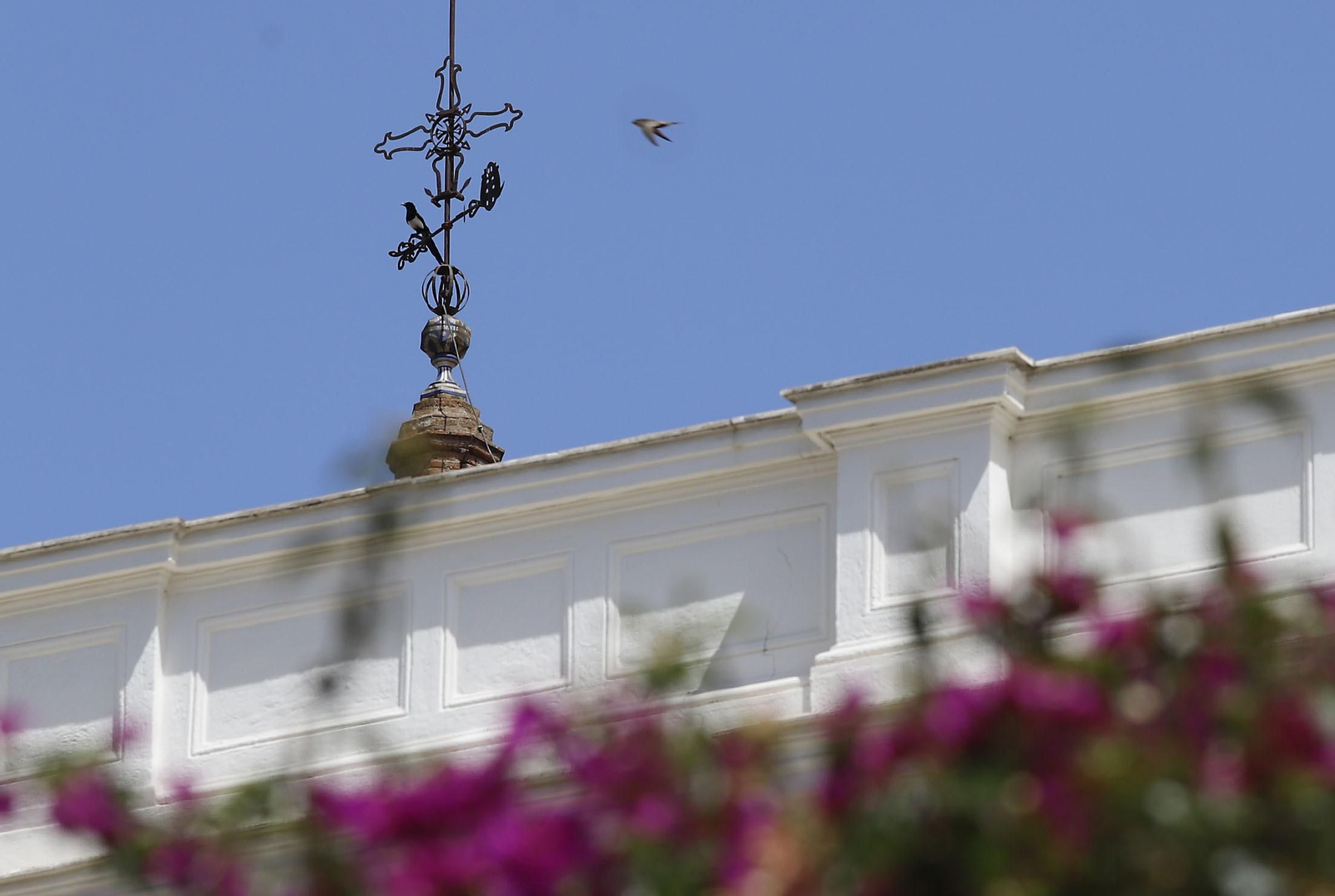 Las imágenes más destacadas del domingo 1 de mayo en Huelva