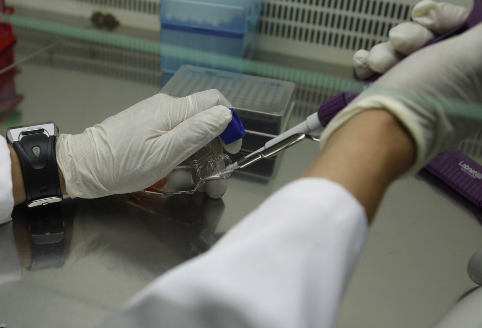 La investigación, la esperanza de los enfermos.