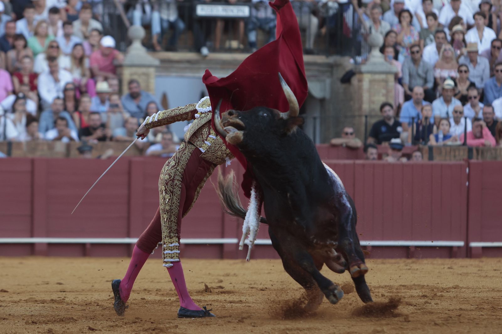 El triunfo de Castella en imágenes