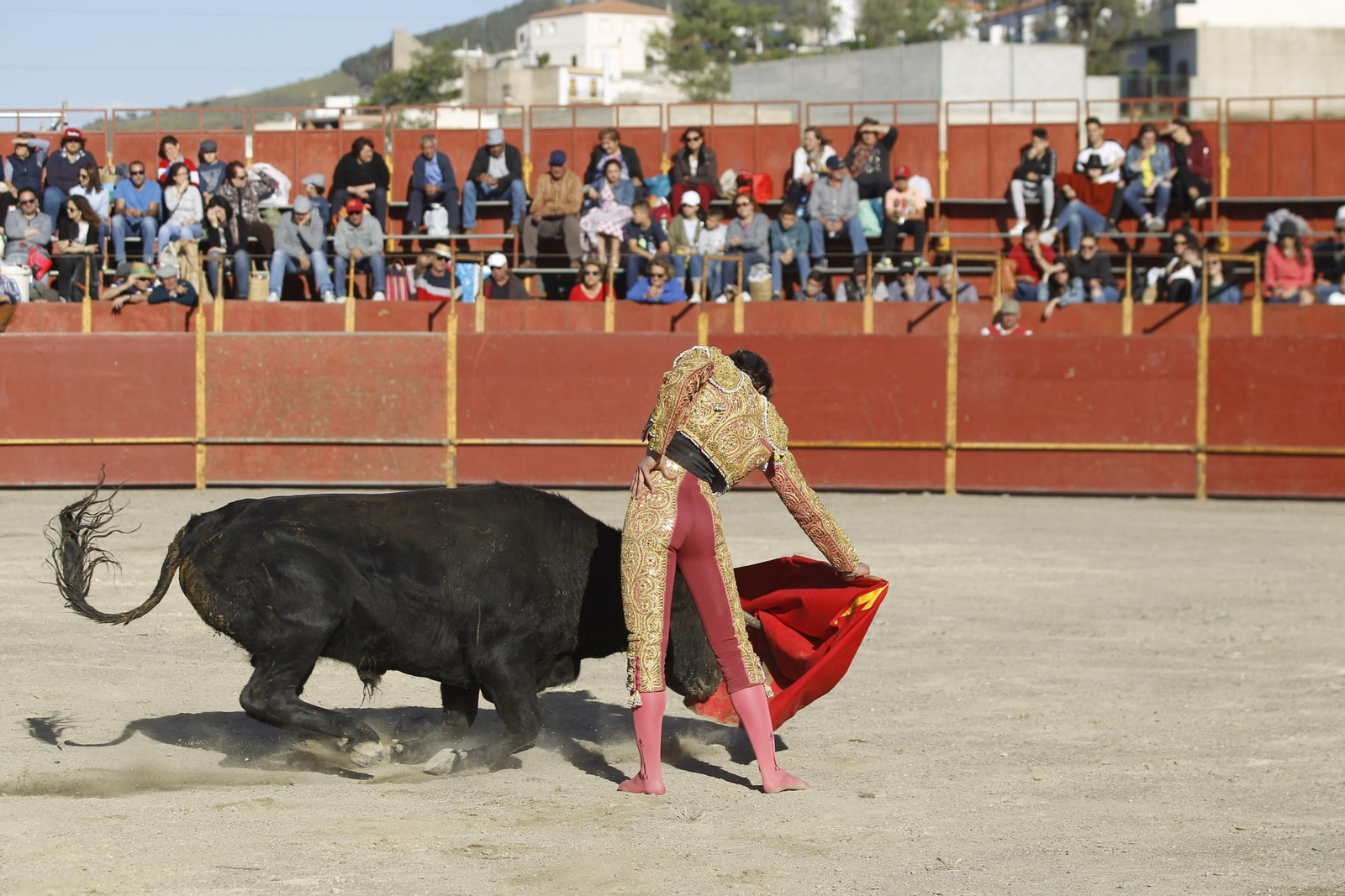 Fotogalería Novillada Fiestas de Abrucena
