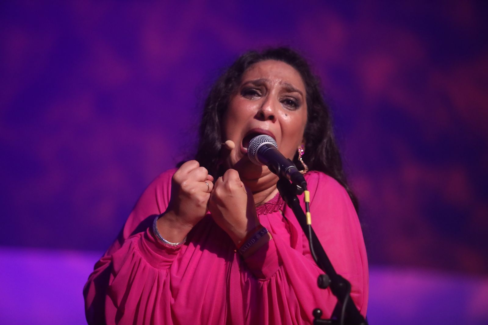 La noche flamenca en el Parque de San Fernando, en imágenes