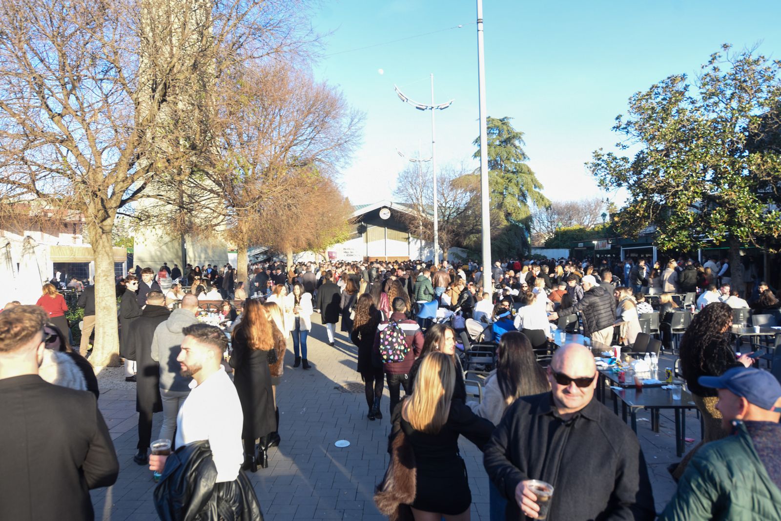La Tardevieja en Córdoba para despedir 2025, en imágenes