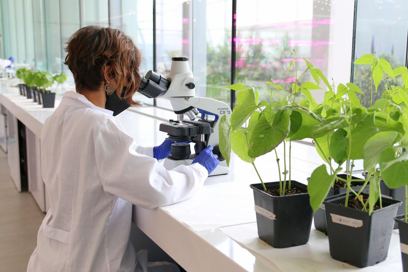 Fotogalería de la visita de Juan Marín a Kimitec, al PITA y a Unica Group