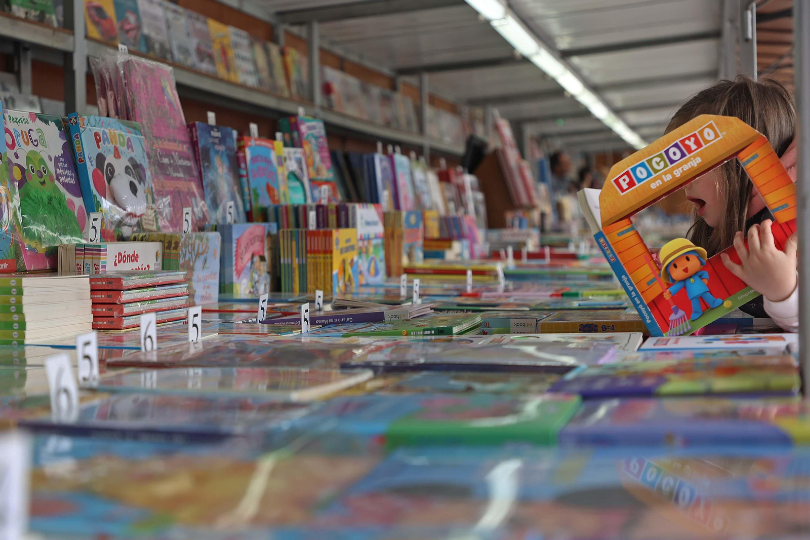 La  inauguración de la XXXVII Feria del Libro de Algeciras, en imágenes