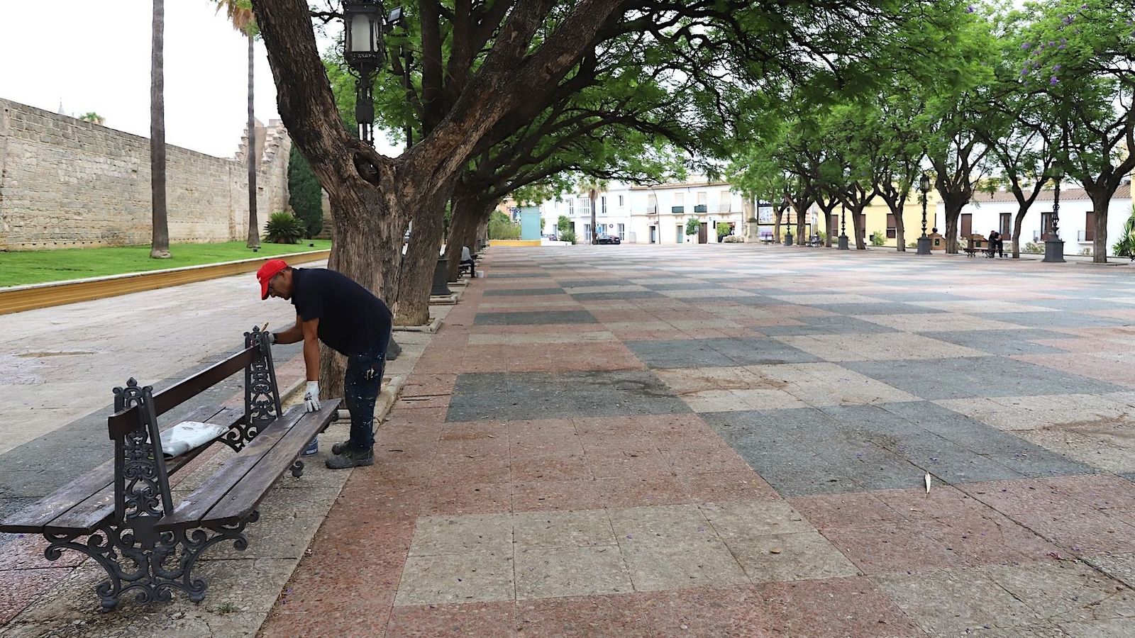 Un operario, durante los trabajos de mejora en la Alameda Vieja de Jerez.