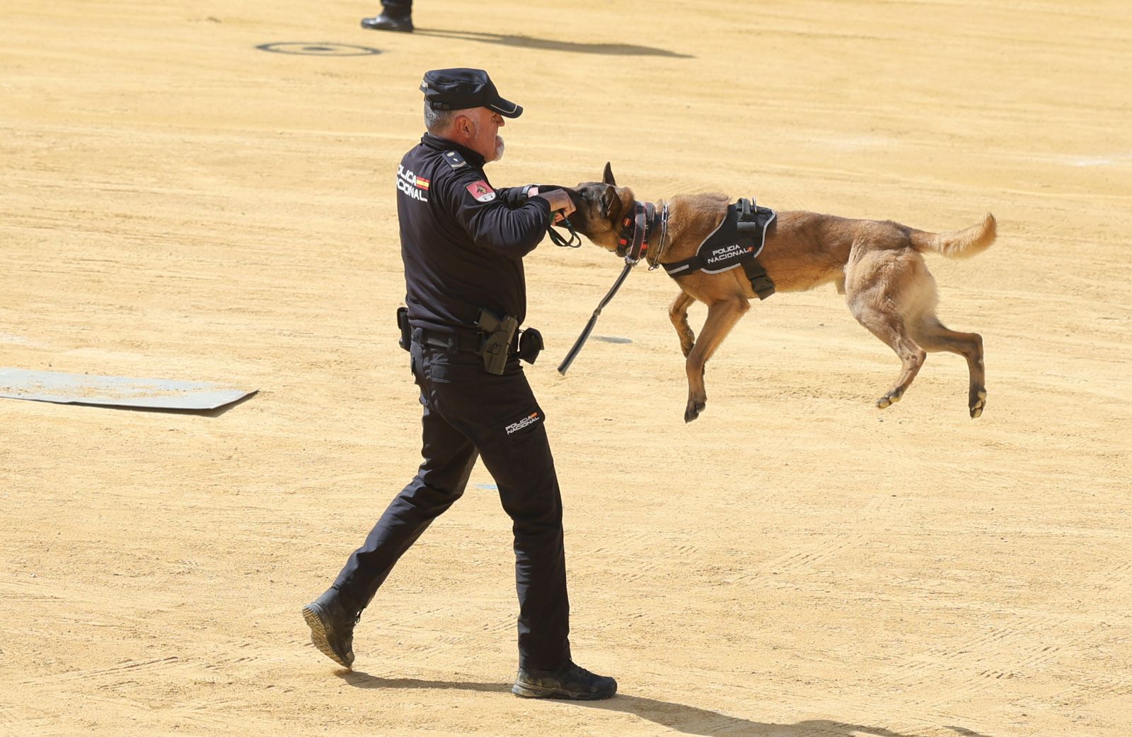 X Encuentro con Escolares de Málaga con la Policía Nacional