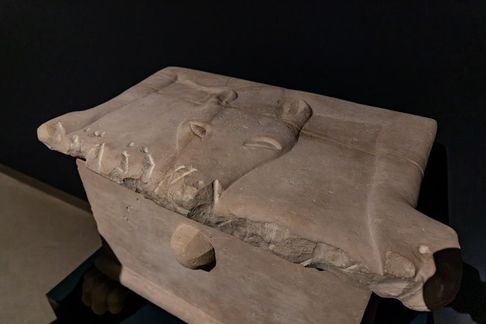 Presentación de la Exposición Seres de Ultratumba