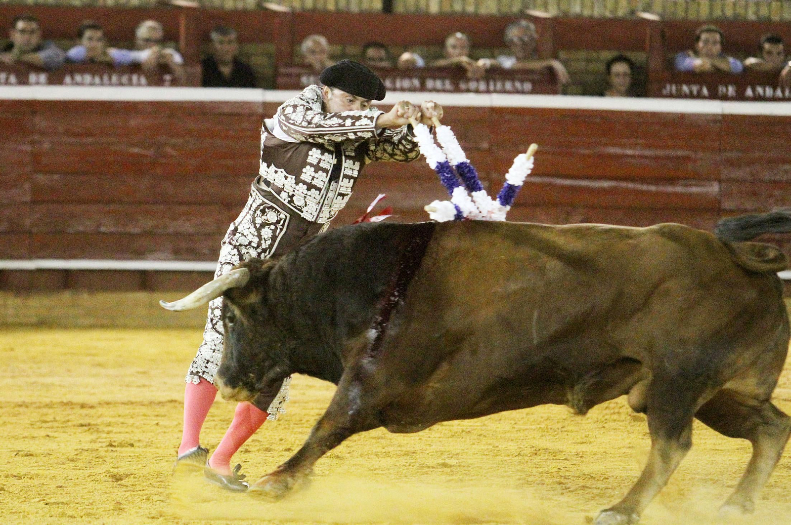 David de Miranda durante la corrida de esta tarde en la Plaza de Toros La Merced