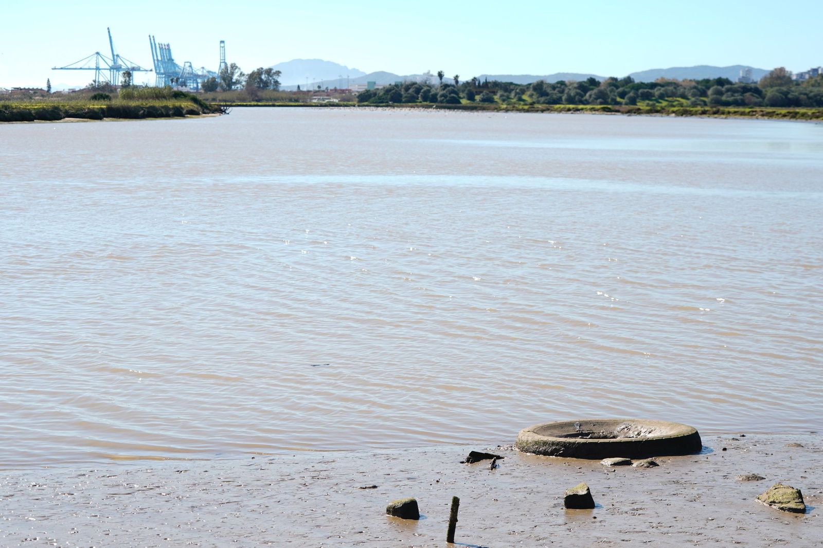Fotos de la contaminación en el paraje natural marismas del Río Palmones