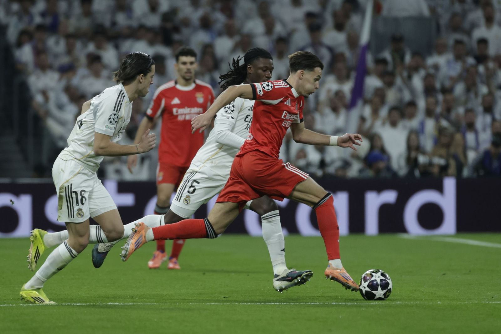 Las fotos del Real Madrid-Benfica
