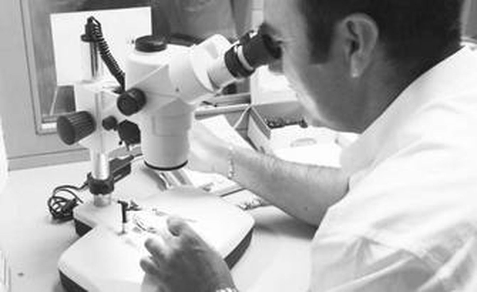 El perfil de los usuarios ha cambiado debido a las crecientes dificultades económicas.