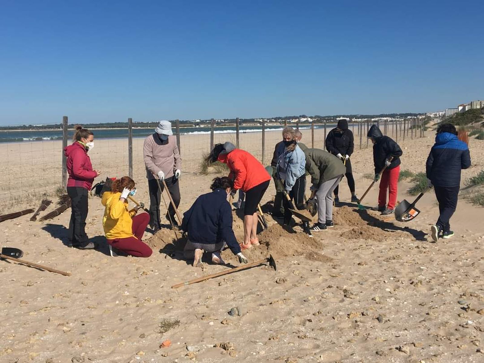 Los voluntarios trabajando en la playa.
