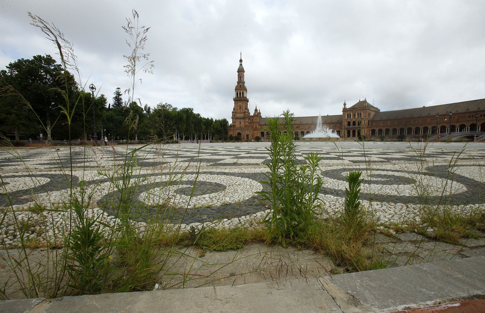 Abandono en la Plaza de España por el confinemiento