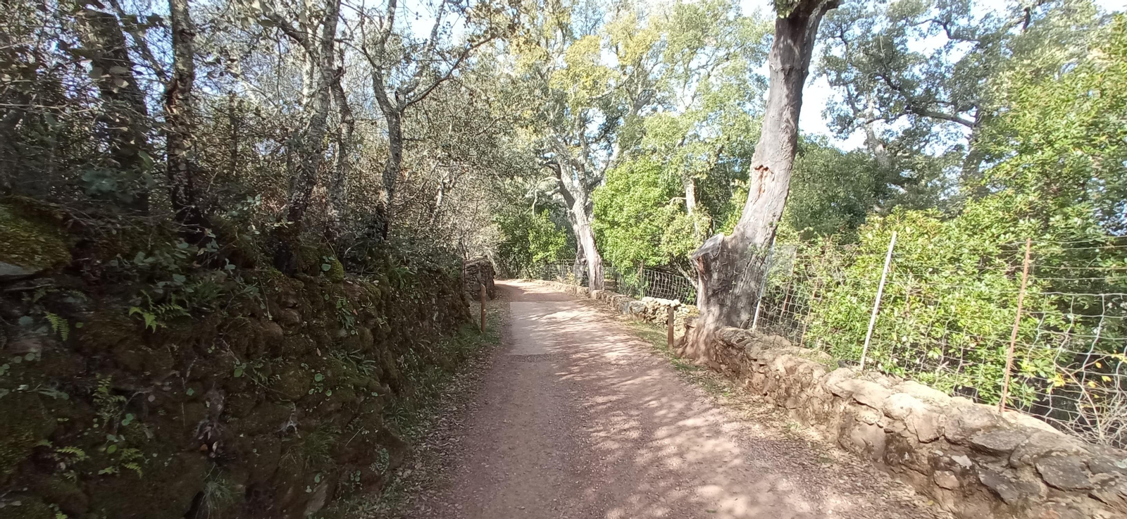 Las imágenes de la ruta de la Dehesa de Valdelama: De Los Marines a Fuenteheridos y vuelta
