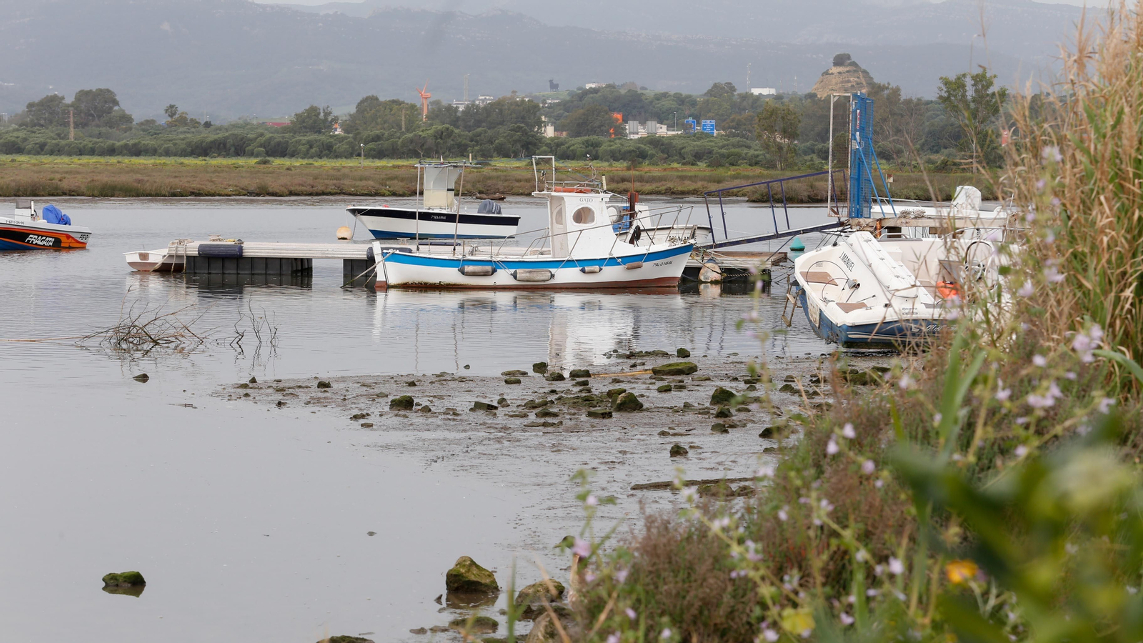 Un paseo por la ribera del Río Palmones, en imágenes