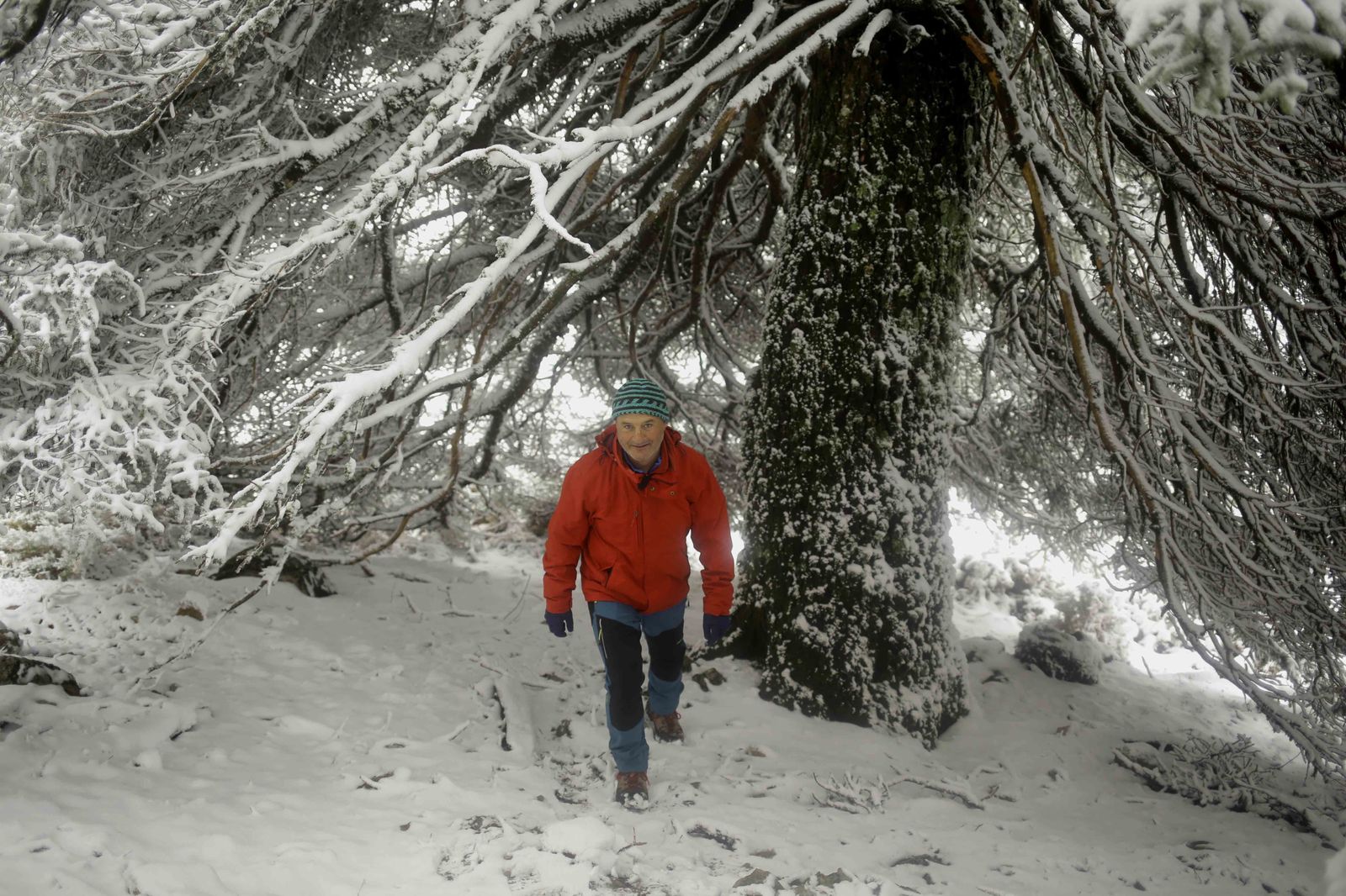 Manto blanco sobre la Sierra de las Nieves
