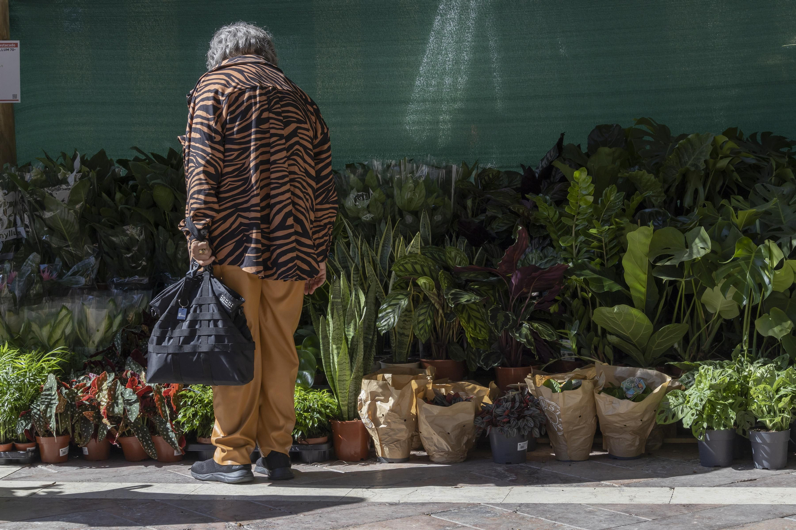 Las mejores imágenes de la Muestra de Primavera en Plaza de las Monjas, Huelva