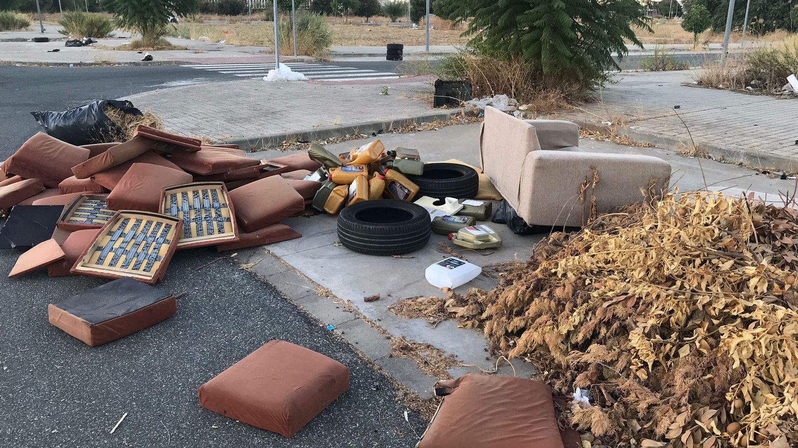 Mobiliario, restos de poda y neumáticos tamién arrojados en la zona.