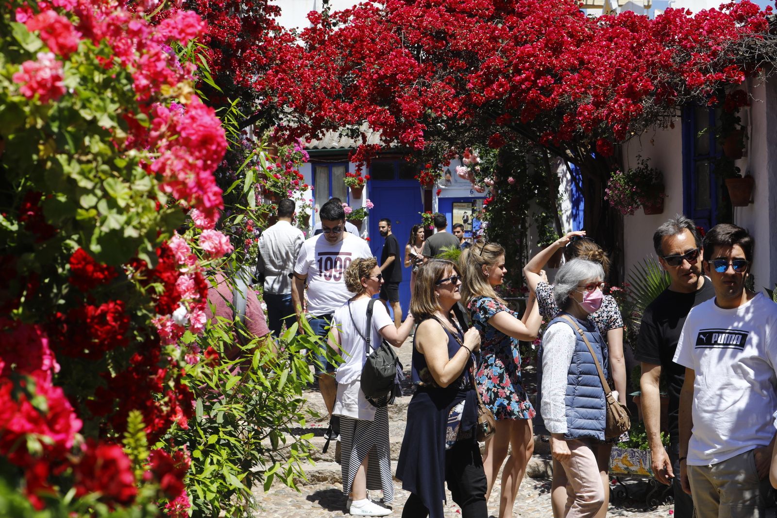 El primer sábado de Patios de Córdoba, en imágenes