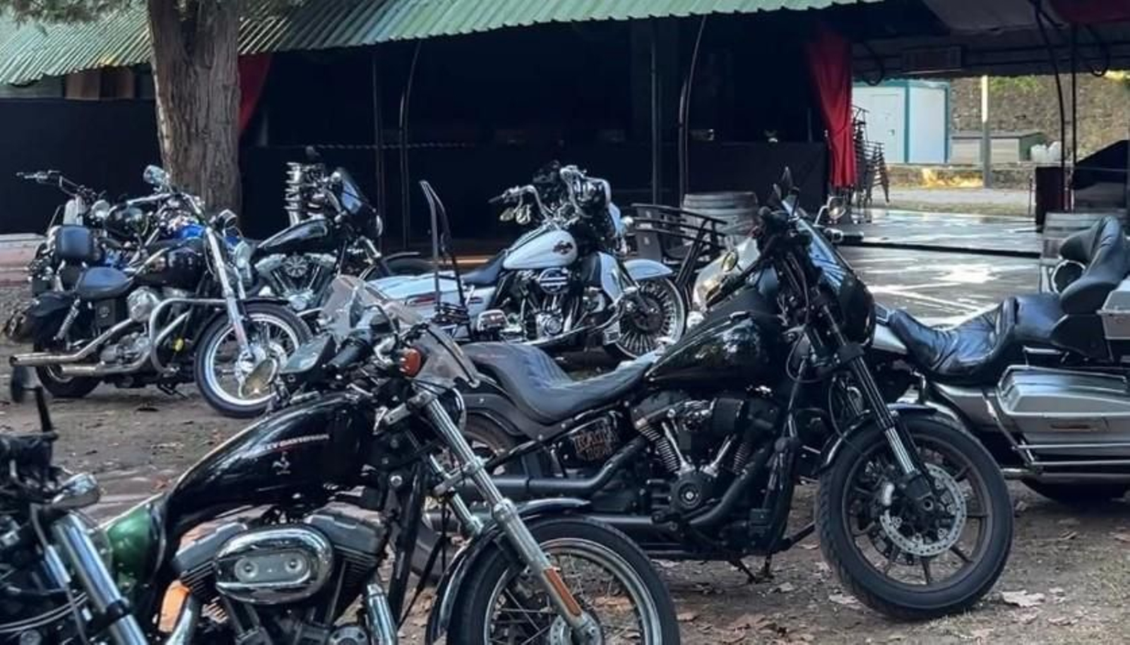 Un grupo de Harley Davidson.