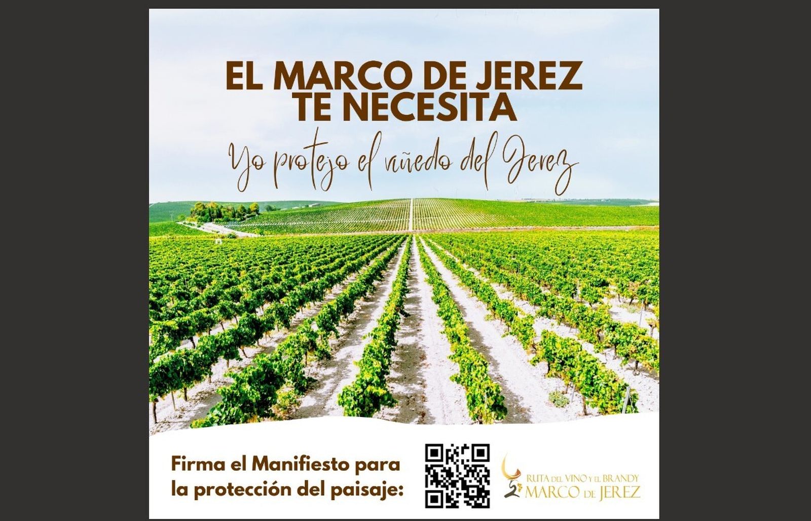 Carátula del Manifiesto para la protección del viñedo elaborado por la Ruta del Vino y el Brandy del Marco de Jerez.
