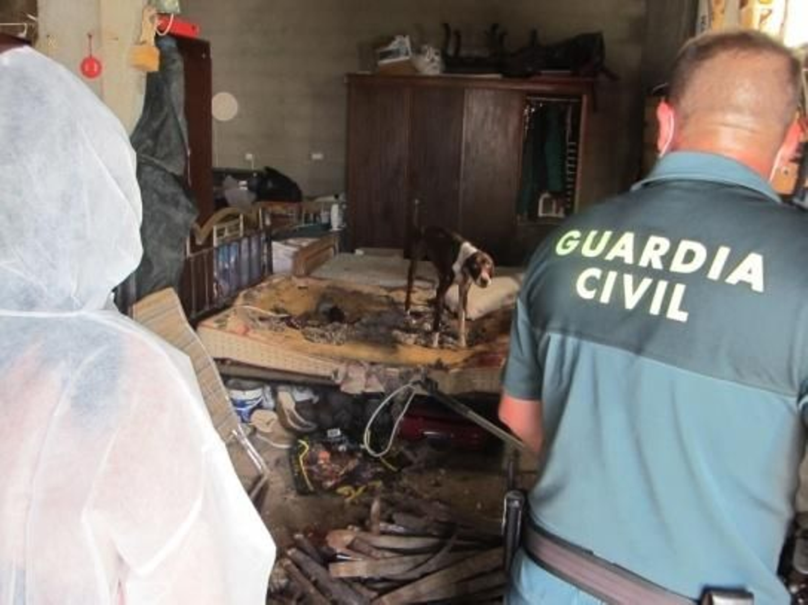 Momento en el que fueron rescatados los dos animales de la nave de Albondón (Granada)