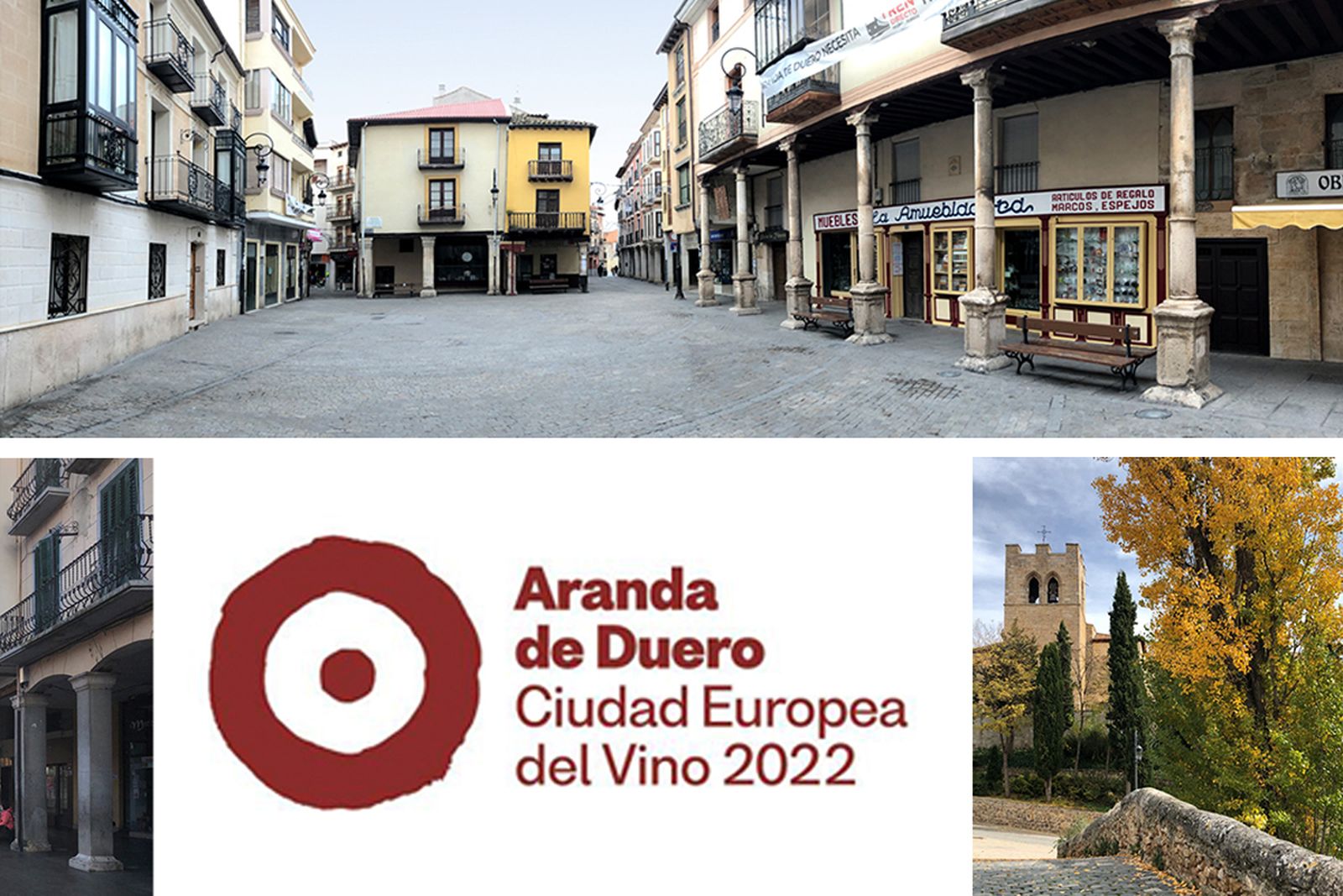 Aranda de Duero, Capital Europea del Vino
