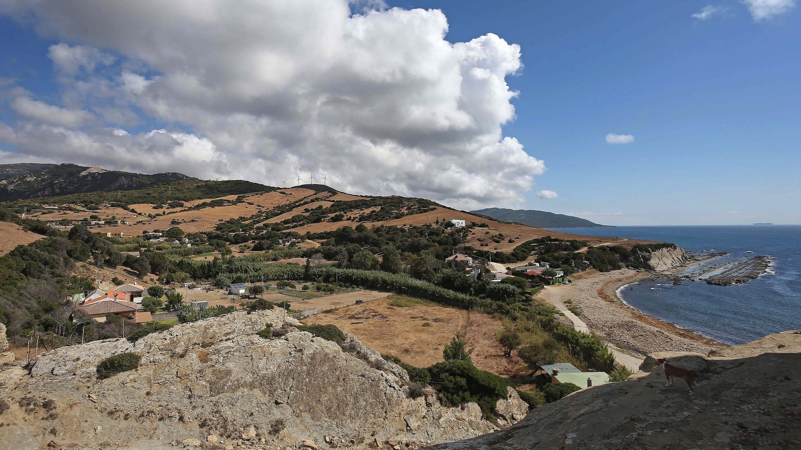 Las mejores fotos del sendero de la Colada de la Costa en Tarifa