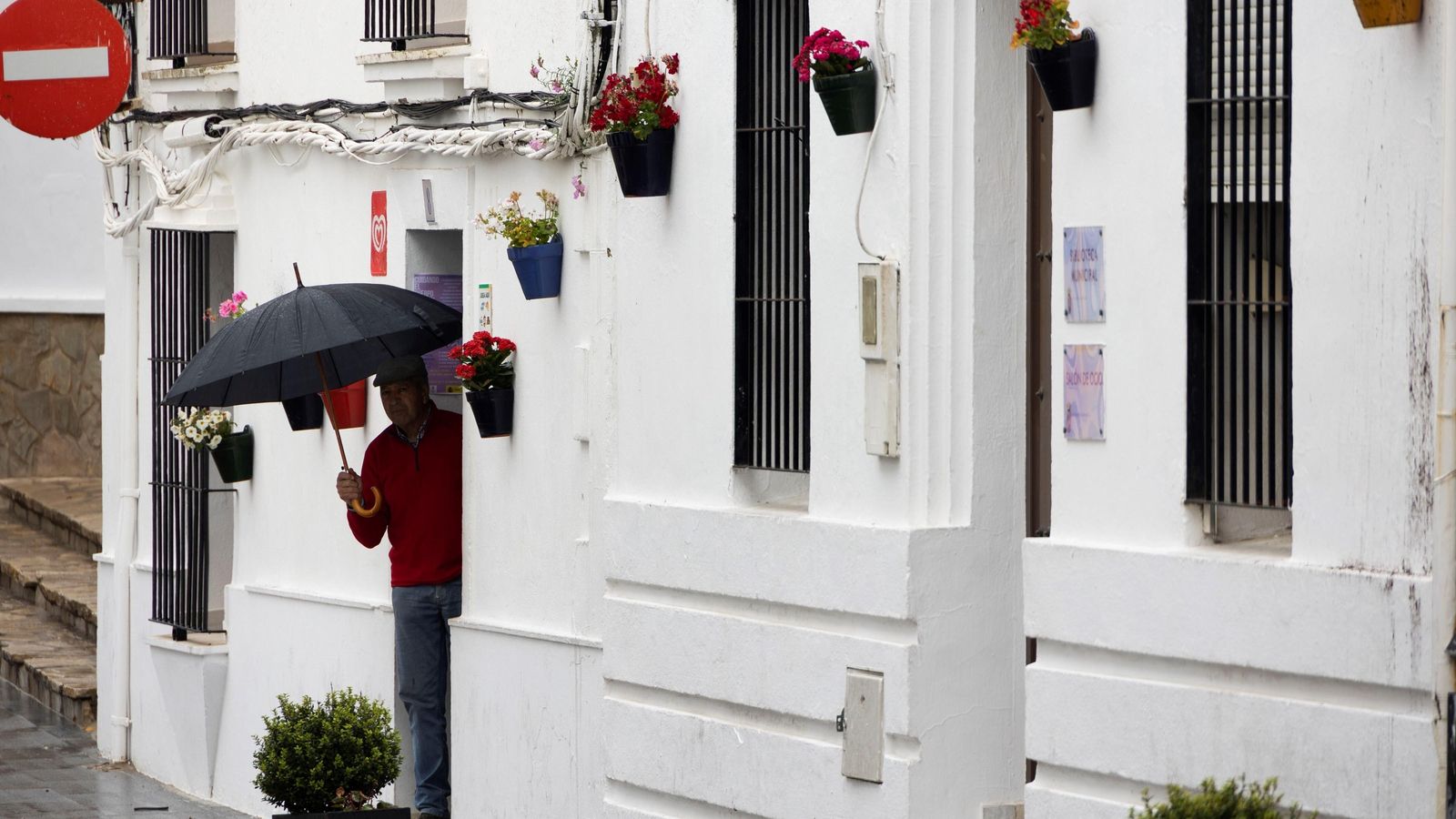 Un hombre asoma con su paraguas a una calle adornada con macetas.