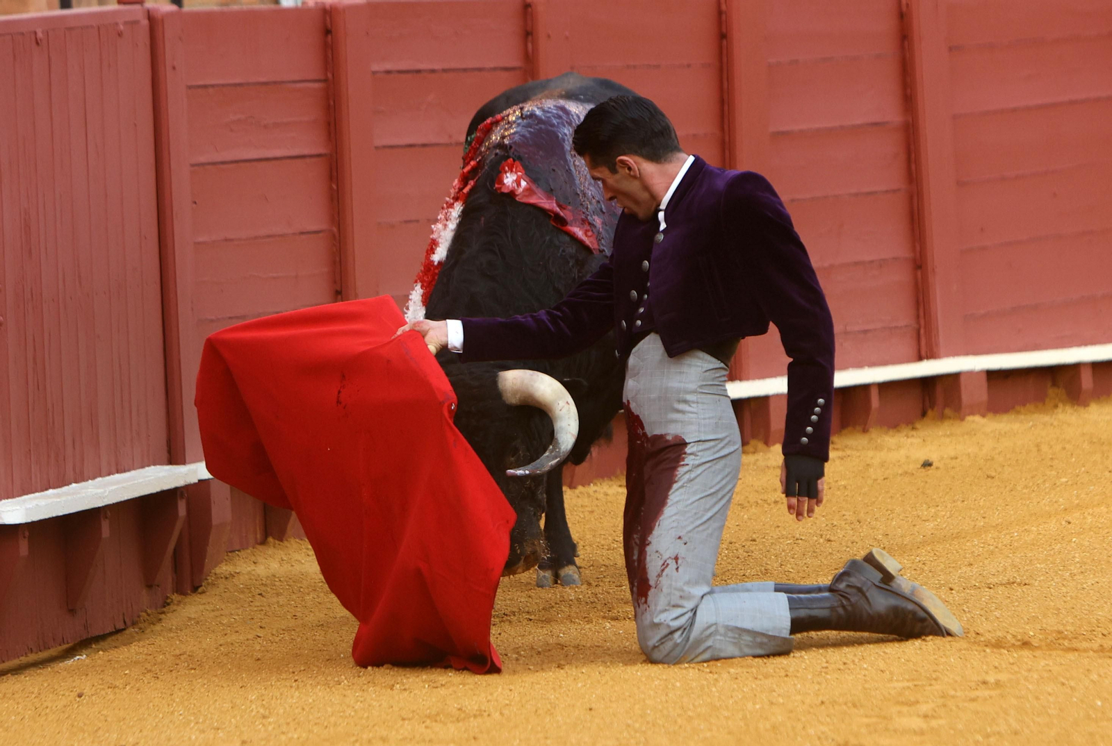 Fotos del Festival taurino a beneficio de l de la Hermandad del Rocío de Triana y de la Fundación Alalá