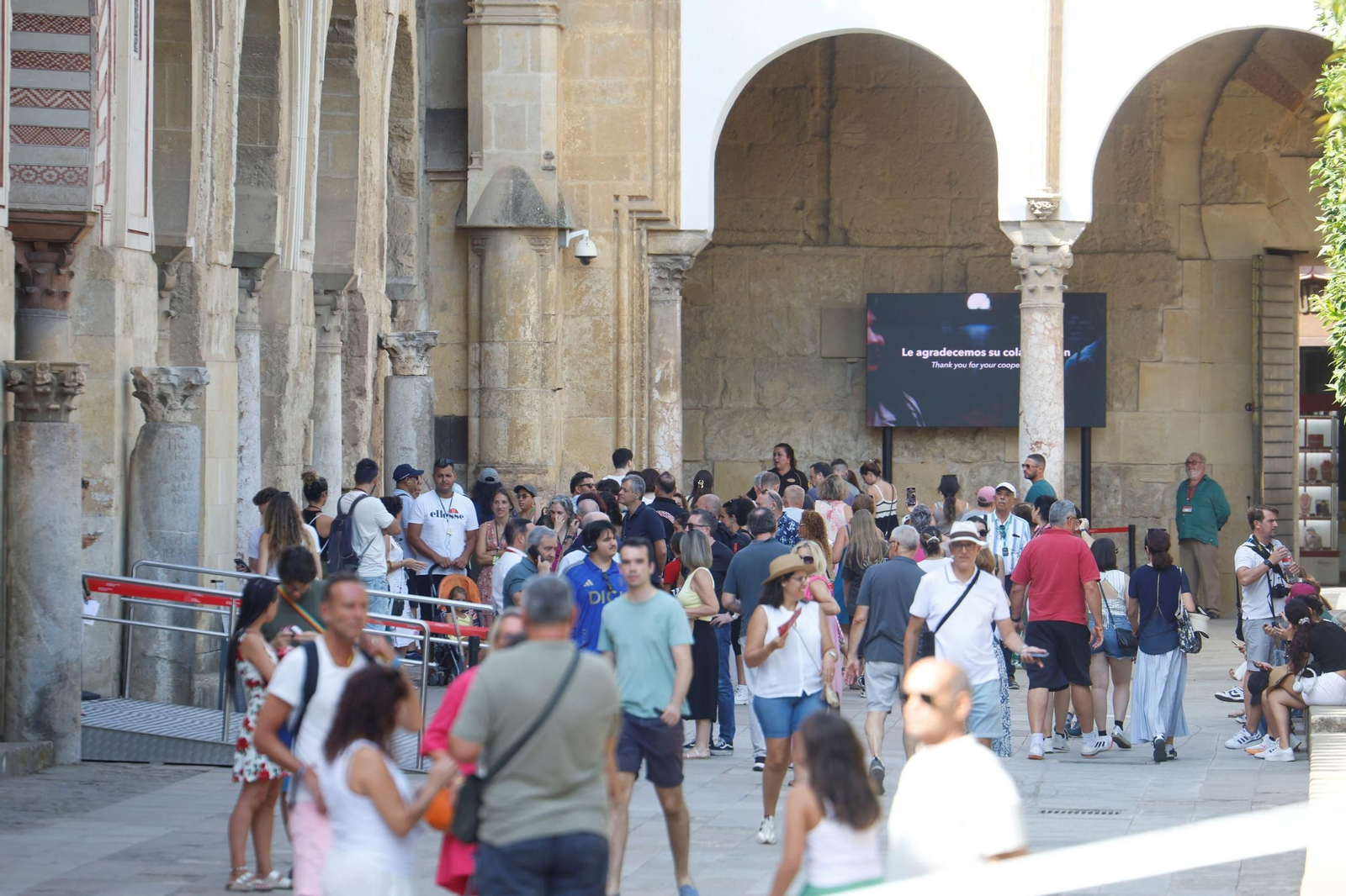 Los trabajos en la Mezquita-Catedral para supervisisar y evaluar los daños, en fotos