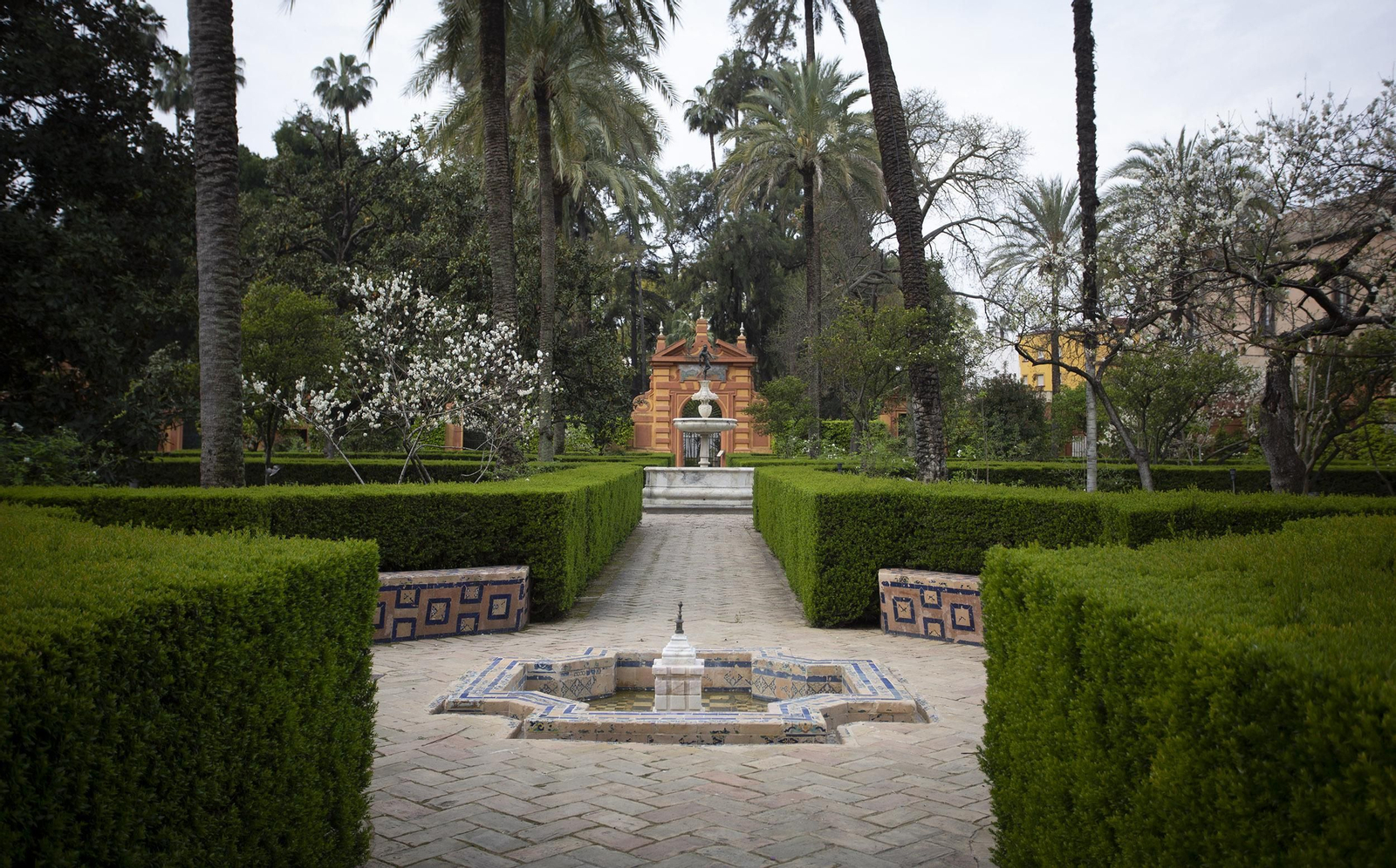 Coronavirus: Un paseo por los Reales Alcázares de Sevilla